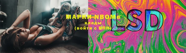 стафф Надым