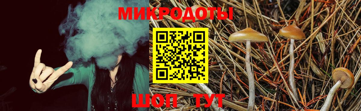 Псилоцибиновые грибы Psilocybine cubensis  даркнет сайт  Новоалександровск  Вход с VPN 