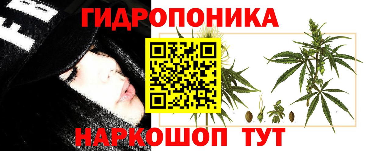 Конопля конопля Новоалександровск